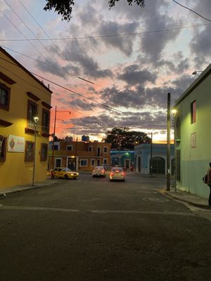  #Veganuary at Los Muchitos Comida Vegana in Oaxaca