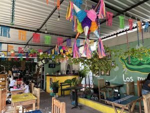   at Los Muchitos Comida Vegana in Oaxaca