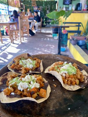 Plat principal du menu du jour  at Los Muchitos Comida Vegana in Oaxaca