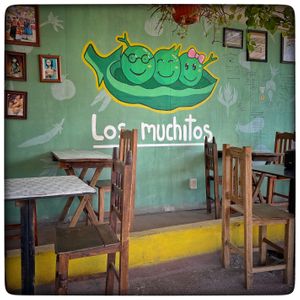   at Los Muchitos Comida Vegana in Oaxaca