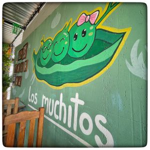   at Los Muchitos Comida Vegana in Oaxaca