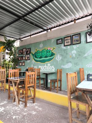  at Los Muchitos Comida Vegana in Oaxaca