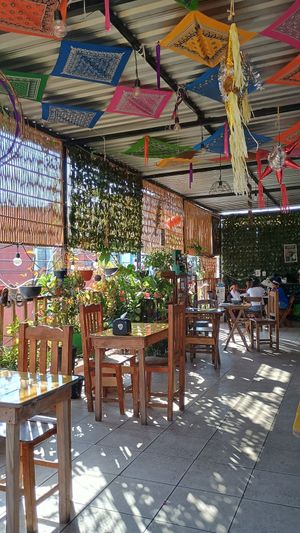  at Los Muchitos Comida Vegana in Oaxaca