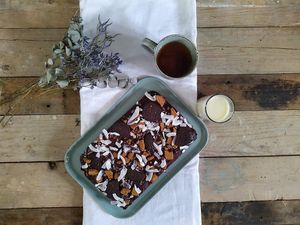 Brownie at de Plantisserie in Bergeijk