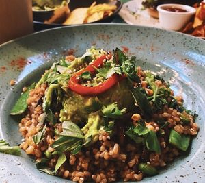 Luminous vegan bowl at Avocado in Athens