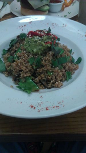 Luminus at Avocado in Athens