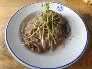 Mushroom Risotto with vegan Parmesan cheese at STF Kvikkjokk Fjällstation in Kvikkjokk