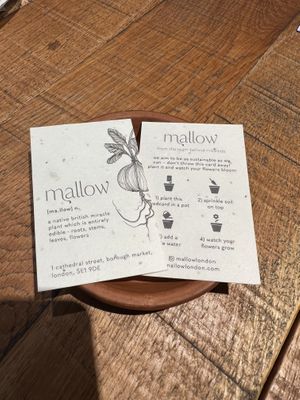 Mallow seeds to take home  at Mallow - Borough Market in South East London
