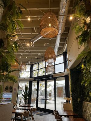 Great vibe, cool ambiance. Good tunes    at Guacamaya Oasis Plant Based Mexican Cuisine in Downey