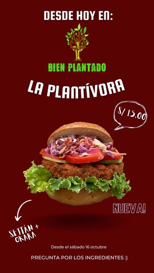 Vegan burger made out of okara and seitan 👌🏼 at Bien Plantado in Iquitos