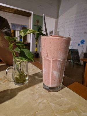  at Bien Plantado in Iquitos