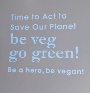  at Loving Hut in Falls Church