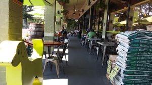 Patio area  at Ellwood Thompsons in Richmond