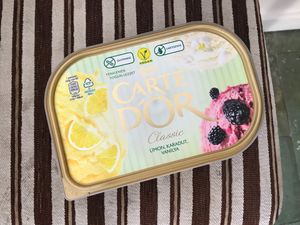 Vegan ice cream at Big Market in Tirana