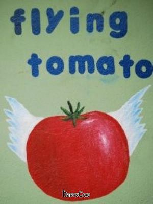  at The Flying Tomato in La Fortuna