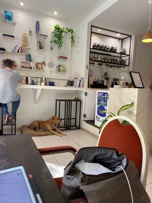 Interior  at VERA in Palermo