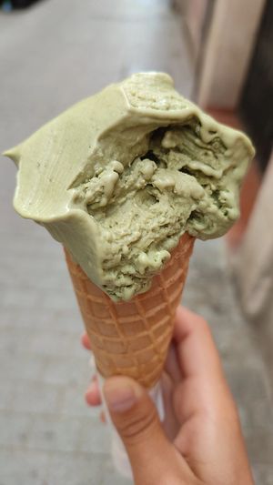  at Rivareno Catedral in Mallorca