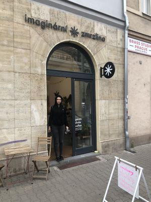 The front door  at Imaginarni Zmrzlina in Prague