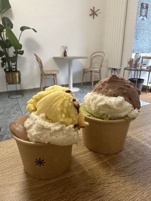 Our ice creams  at Imaginarni Zmrzlina in Prague