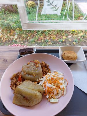 Daily course - filled pepper with salad, pastry and Bajadera sweet #Veganuary at Bio Vita Vegan Bistro in Belgrade