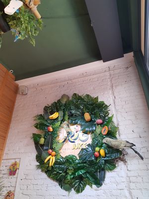 Inside at Rio Juice - Calea Victoriei in Bucharest