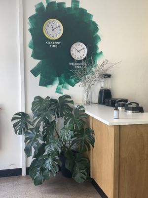 Inside  at Little Collins CBD Dispensary in Kilkenny