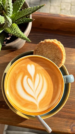 Oat Latte with a CBD Anzac Biscuit  at Little Collins CBD Dispensary in Kilkenny