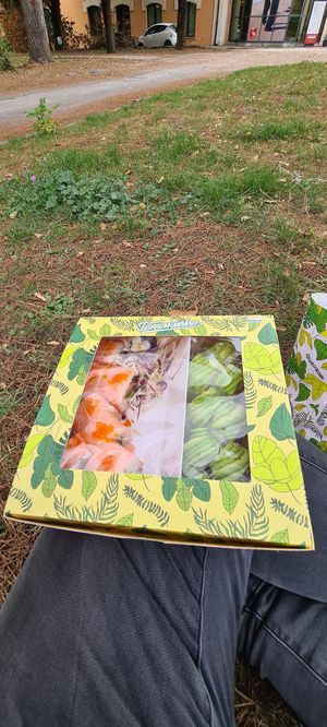 Take away and go for a picnic at Temakinho in Rome