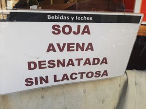 Leches vegetales disponibles at Iru in San Sebastian