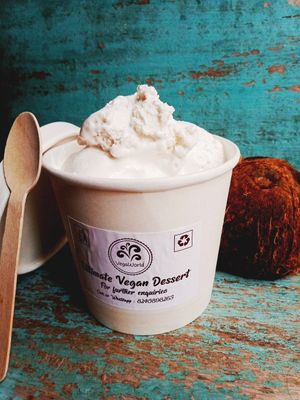 Vegan coconut ice cream from the house of VegaWorld Frozen Delight Ice-creams 🥥🌴🍦🍨 at VegaWorld in Kolkata