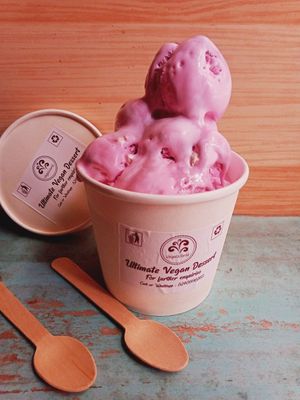 Vegan Bubblegum Icecream from the house of VegaWorld Frozen Delight Ice-creams 💭🌱🃏 at VegaWorld in Kolkata