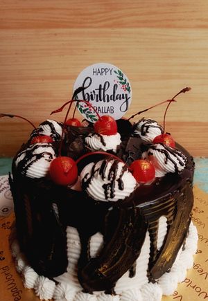 VegaWorld Vegan Black forest cake with chocolate feathers! 🍫🍒🌱🐰 at VegaWorld in Kolkata