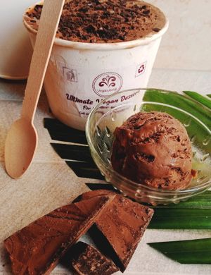 Vegan Pure Chocolate Icecream from VegaWorld Frozen Delight Ice-creams 🍫🌱🌍🍦🍨 at VegaWorld in Kolkata