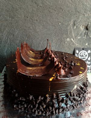 Gourmet Vegan Chocolate mousse cake from VegaWorld Confectionery 🍫🎂🌿 at VegaWorld in Kolkata