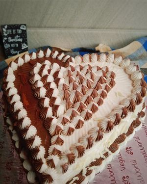 Vegan 2 in 1 sweetheart (vanilla+chocolate) at VegaWorld in Kolkata