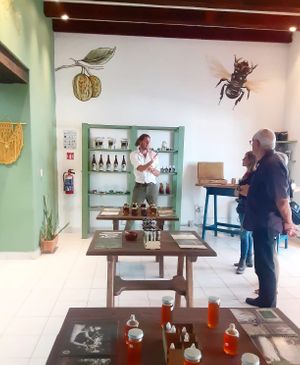Visit of the shop and explanations of the specificities of each product/Visita de la tienda con explicaciones de las particularidades de los productos at La Mirilla de los Sabores in Oaxaca