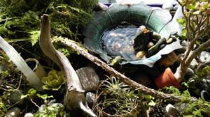 terrarium in front window at Life Alive Organic Cafe in Cambridge