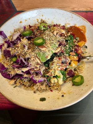 Buddha bowl  at Life Alive Organic Cafe in Cambridge