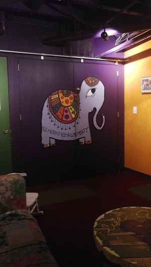 interior at Life Alive Organic Cafe in Cambridge