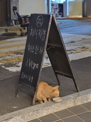  at Sunny Bowl in Seoul