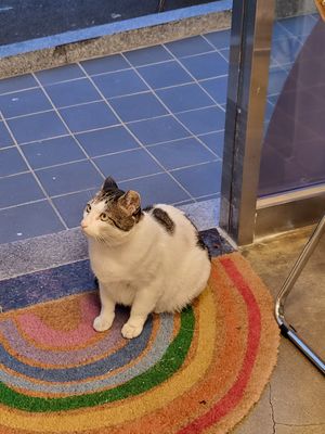  at Sunny Bowl in Seoul