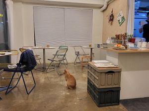  at Sunny Bowl in Seoul