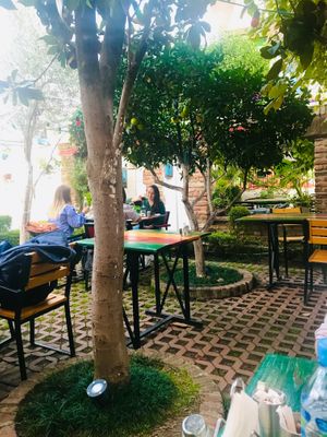Fruit tree in the outdoor dining area. at Serendiville in Tirana