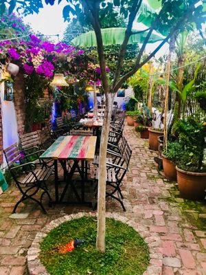 Outside dining area at Serendiville in Tirana