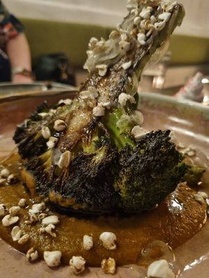 Broccoli at Herbert in Noosa Heads