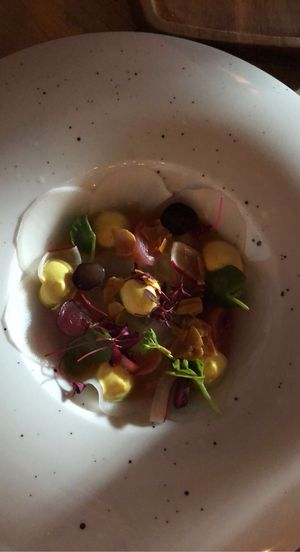   at Pollevie in Den Bosch