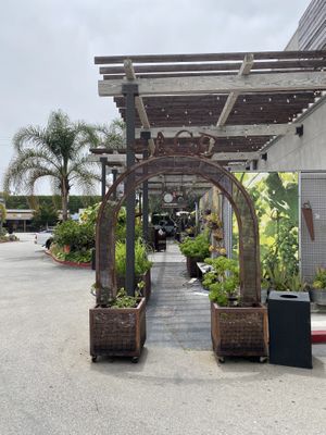 Sage  at Sage Bistro and KindKreme in Los Angeles