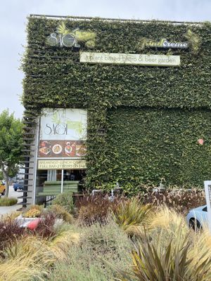 So green  at Sage Bistro and KindKreme in Los Angeles