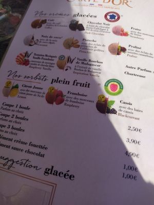 Vegan sorbets available: citron jaune, framboise, cassis at Bistrot Viet in Grenoble