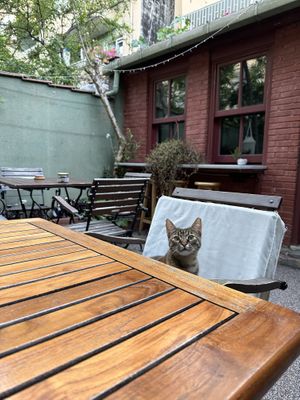   at Kumin Vegan Lezzetler in Istanbul